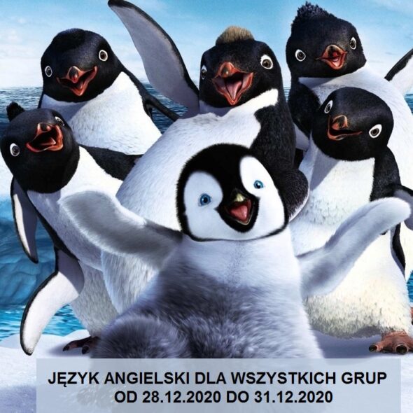 Język angielski dla wszystkich grup od 28 grudnia 2020 do 31 grudnia 2020