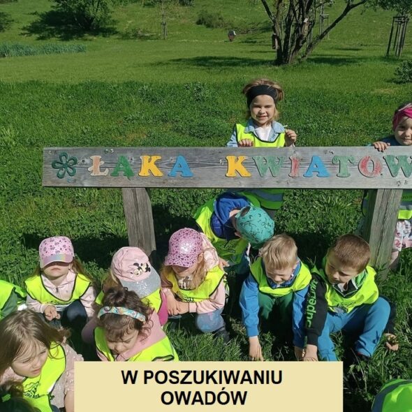 W poszukiwaniu owadów