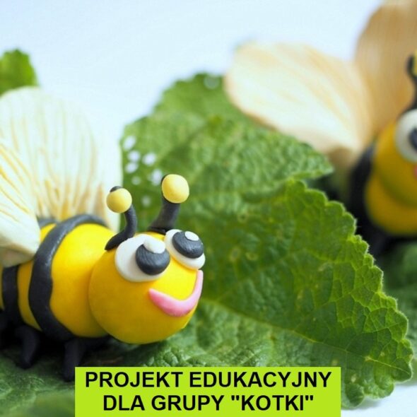 Projekt edukacyjny dla grupy "Kotki"