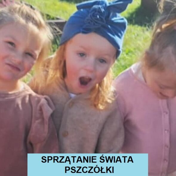 Sprzątanie Świata - Pszczółki