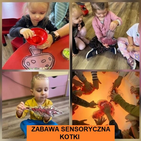 Zabawa sensoryczna - Kotki
