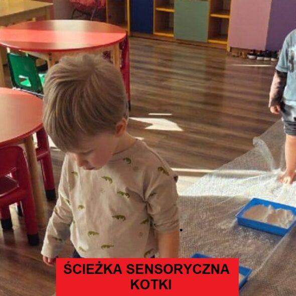 Ścieżka sensoryczna - Kotki