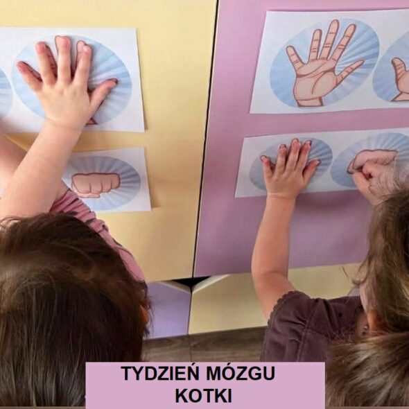 Tydzień Mózgu - Kotki